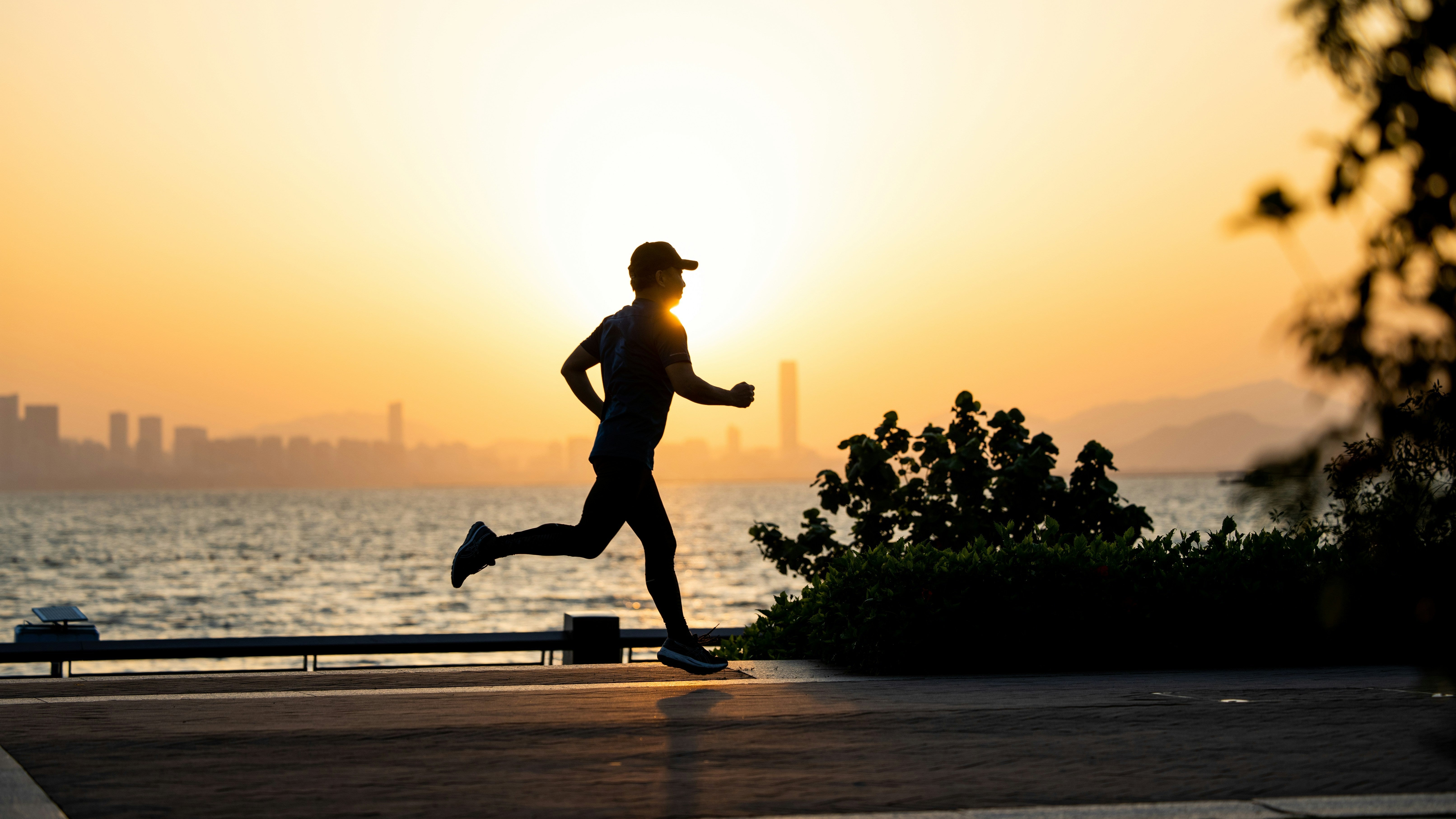 Image de la nourriture